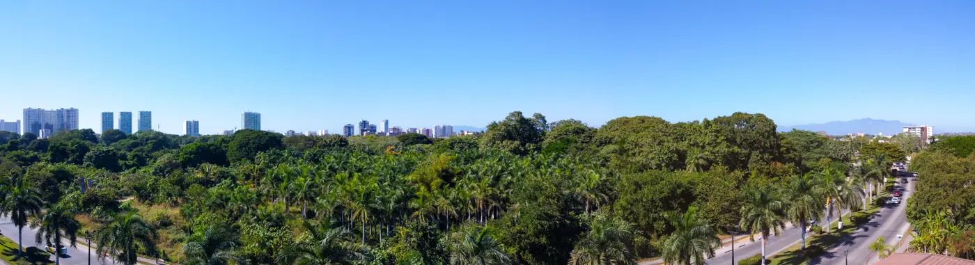 MCS Fluvial – vista real desde la torre