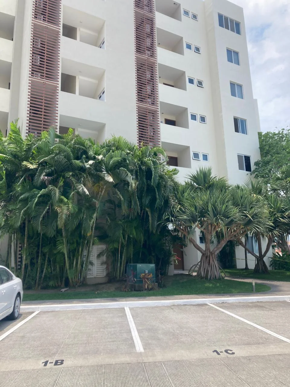 House in Flamingos — photo 3